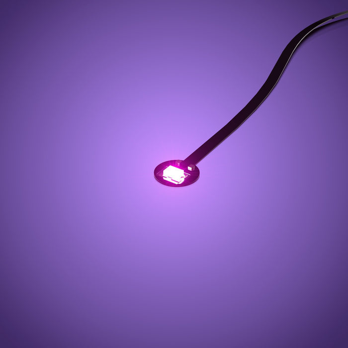 Astro Light Regular - Pink 60cm
