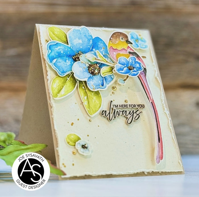 Avian Allure Stamp/Die/Stencil Bundle