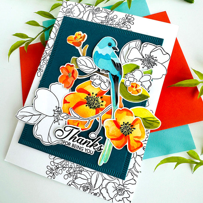 Avian Allure Stamp/Die/Stencil Bundle