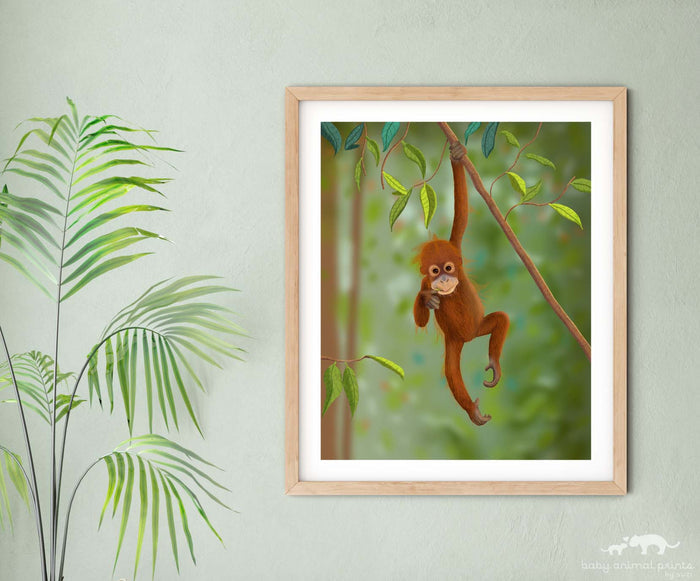 Baby Orangutan Illustration Print