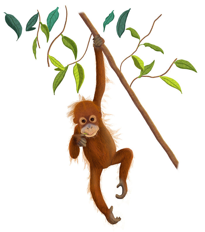 Baby Orangutan Pillow