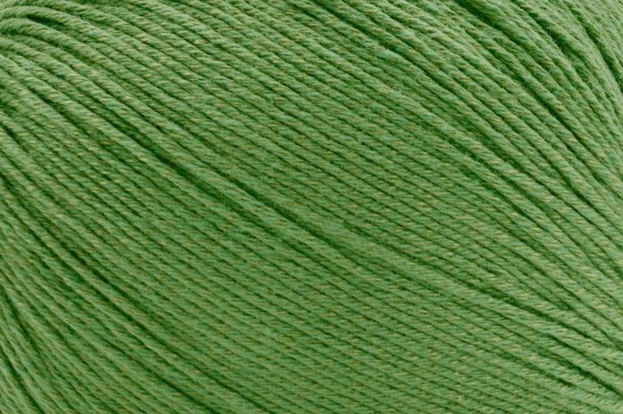 Clover