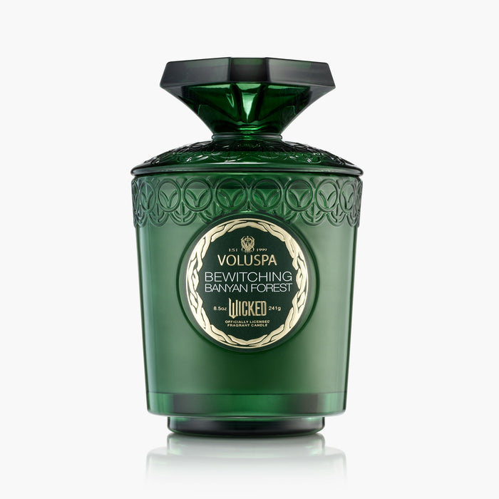 Bewitching Banyan Forest - Boxed Candle
