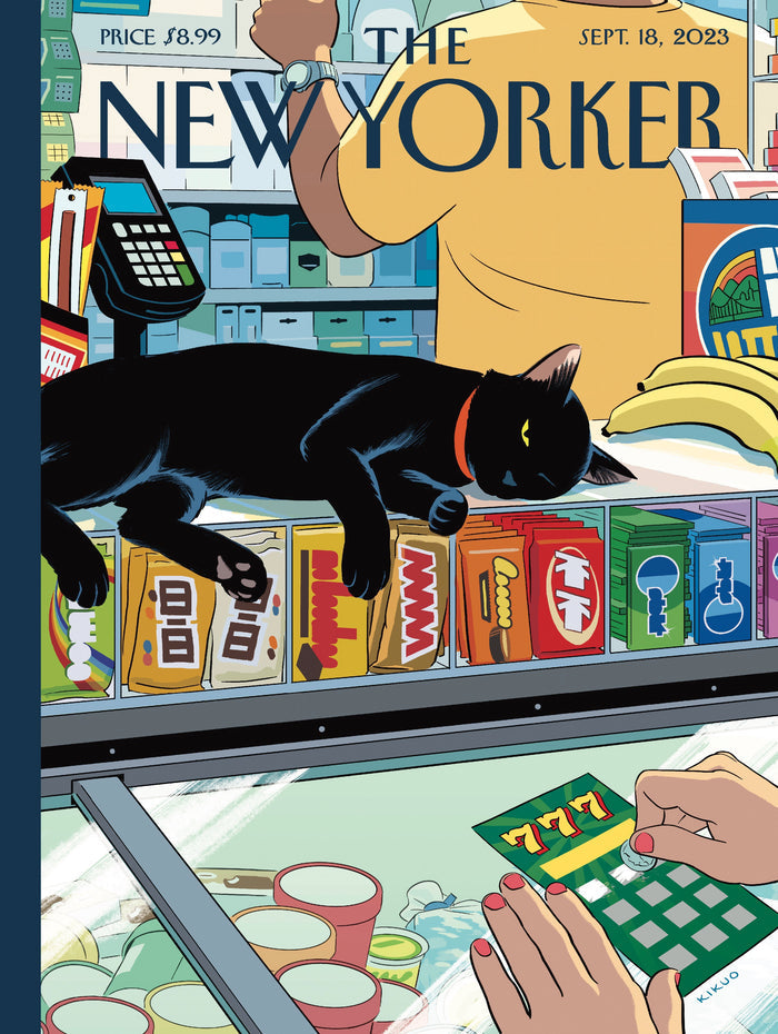 Bodega Cat Image 3