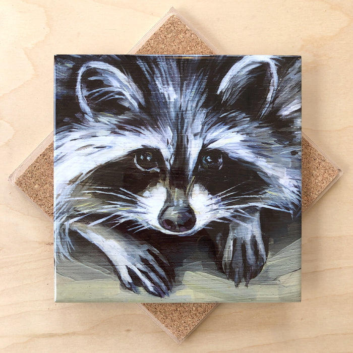 Raccoon