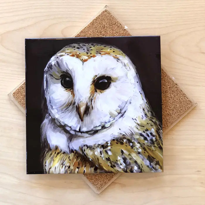 Barn Owl