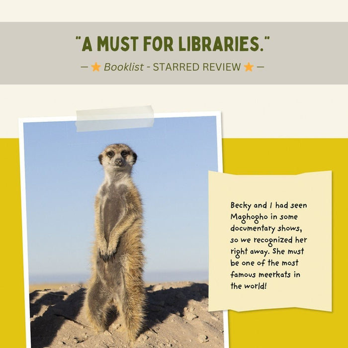 Children's Book, A Meerkat Diary