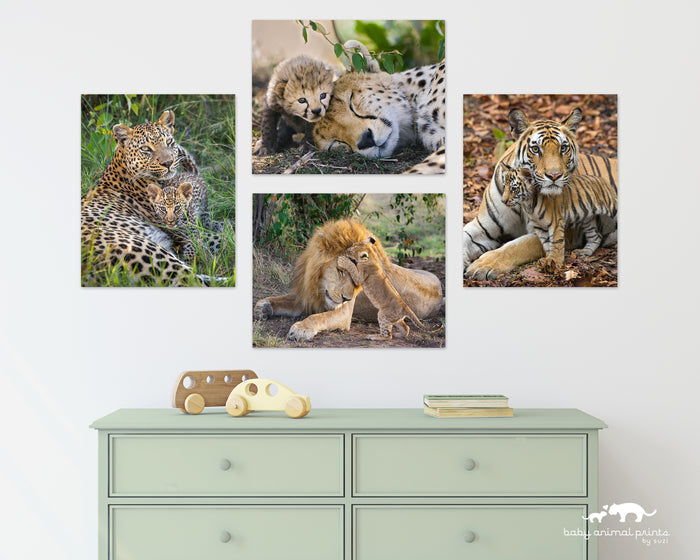 Cuddle Cats Photo Set (Color)