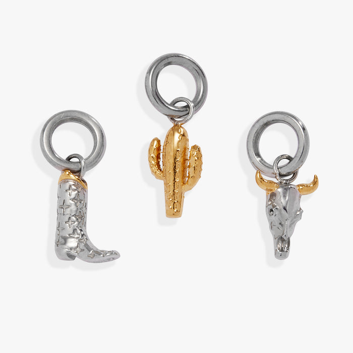 Two Tone - Stainless Steel
