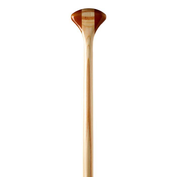 Explorer Plus wooden canoe paddle grip from the front