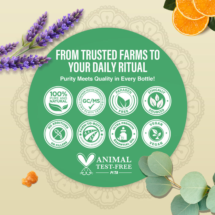 Four Essential Classics Set- Frankincense, Lavender, Eucalyptus, & Orange 4 x 15mL