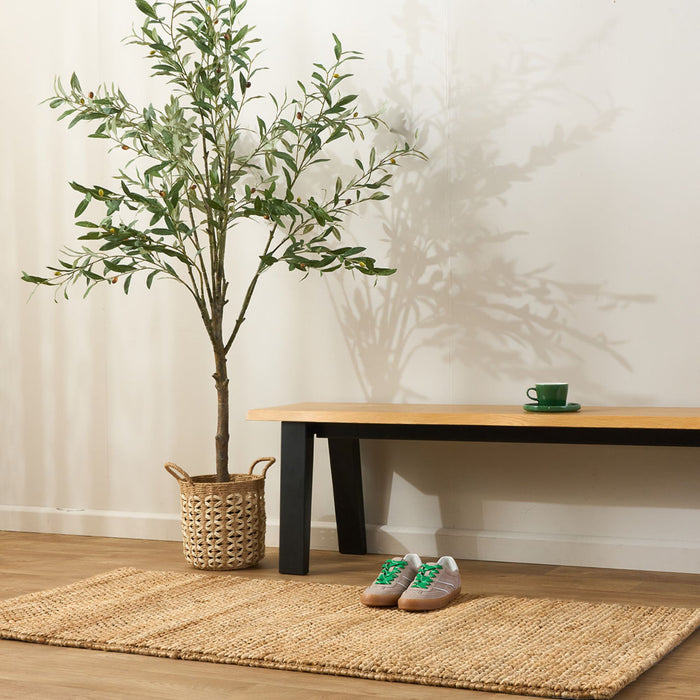 Room interior with a plant, table, and shoes on a wooden floor.