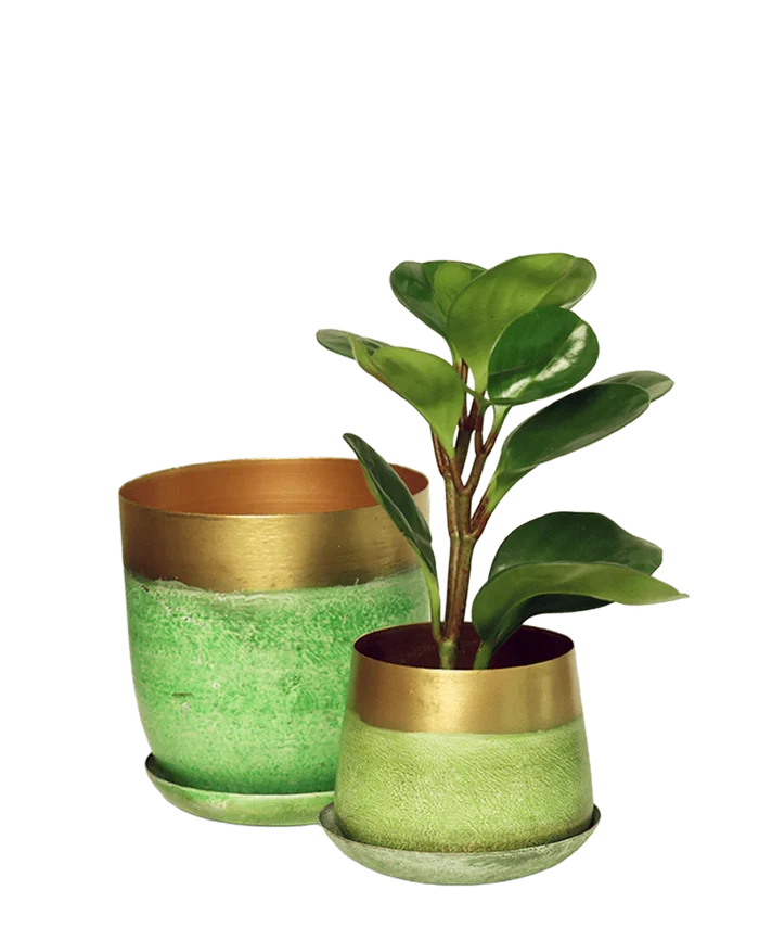 Joe Metal Pot With Drainage Hole (2 sizes)