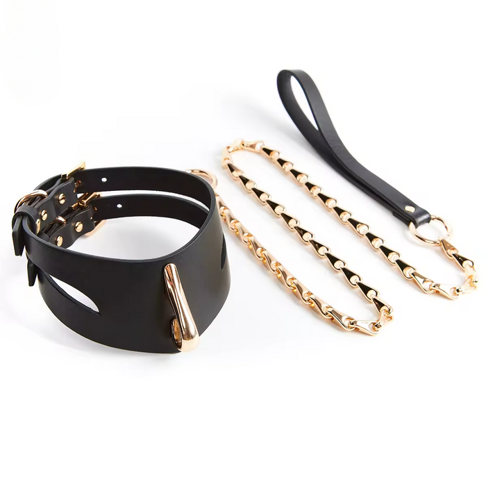 Liquide D'Or Leather Collar and Leash