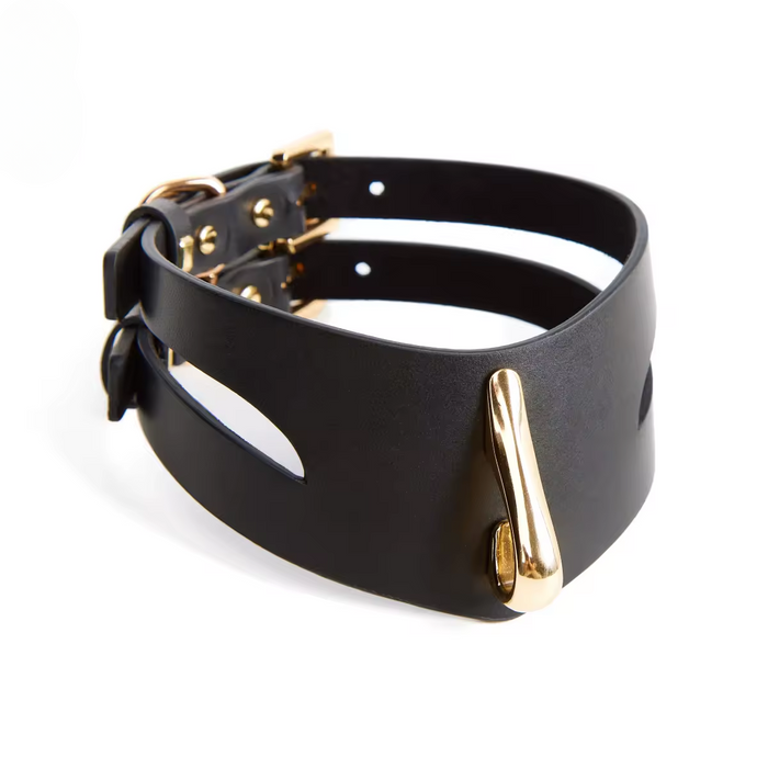 Liquide D'Or Leather Collar and Leash