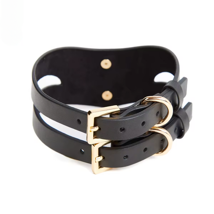 Liquide D'Or Leather Collar and Leash