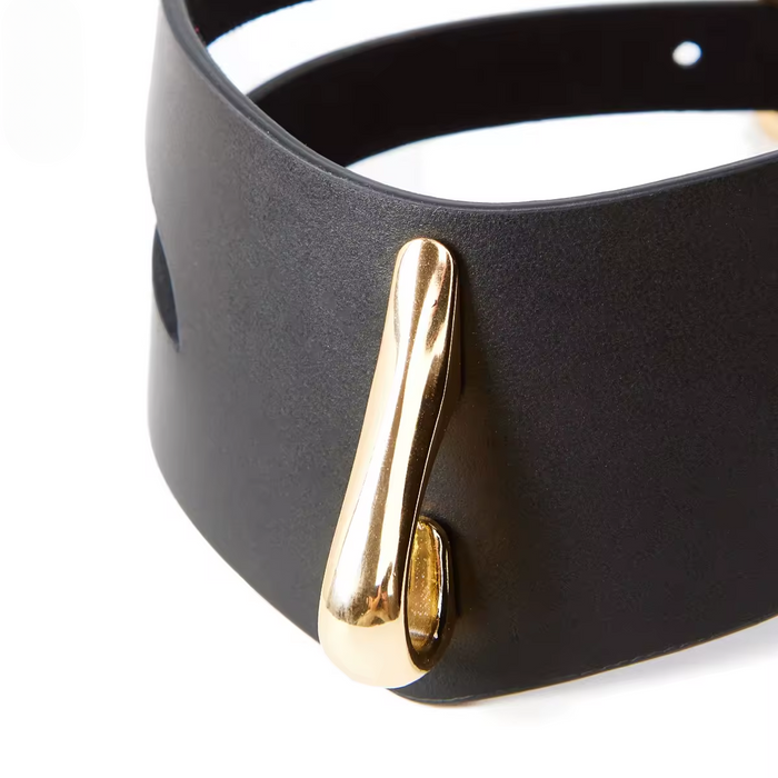 Liquide D'Or Leather Collar and Leash