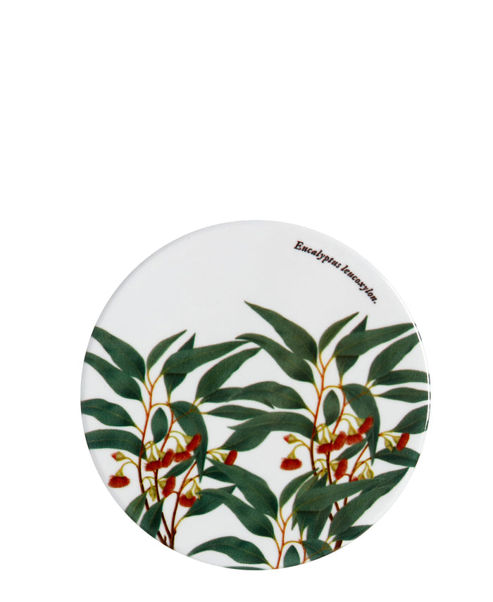 Maxwell & Williams Botanic 9,5cm Round Coasters - White & Green