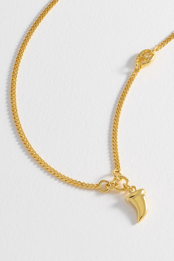 Men's Tooth Necklace