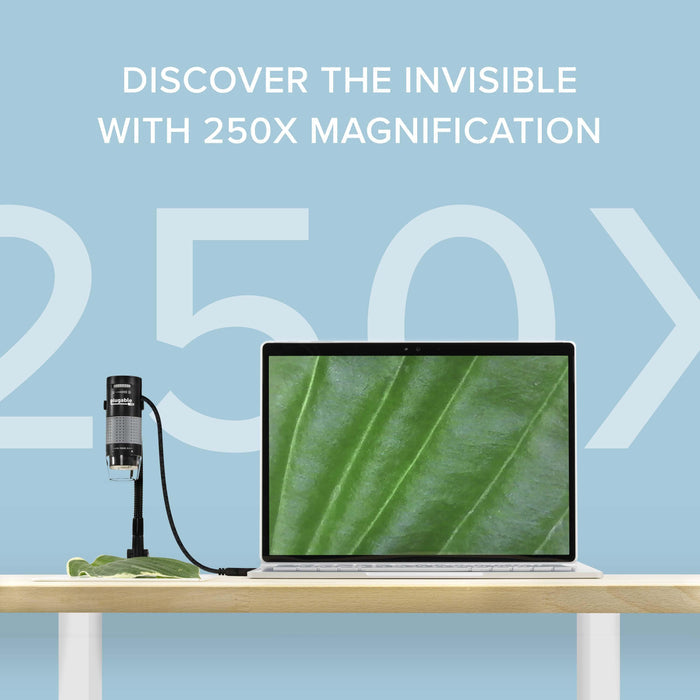 Plugable USB2-MICRO-250X digital microscope with 250x magnification connected to a laptop displaying a leaf sample.