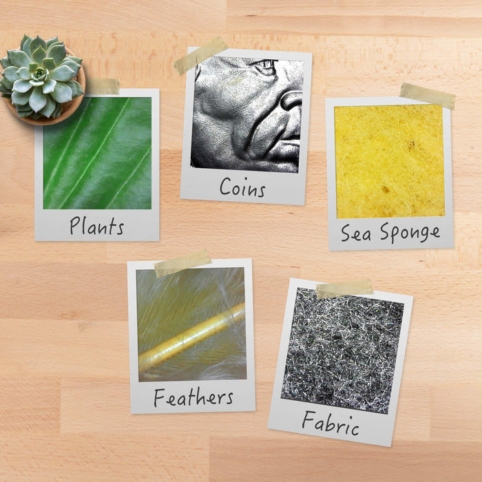 Five polaroid-style photos showing microscopic views of plants, coins, sea sponge, feathers, and fabric.