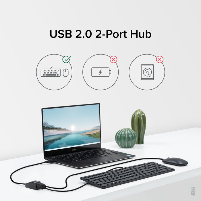 USB 2.0 2-Port Hub supports keyboards and mice; not for charging or external hard drives.
