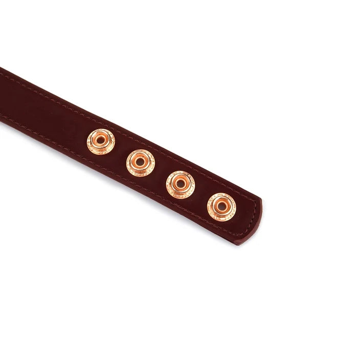 Plush Velour Metallic Burgundy Collar with Nipple Clamps