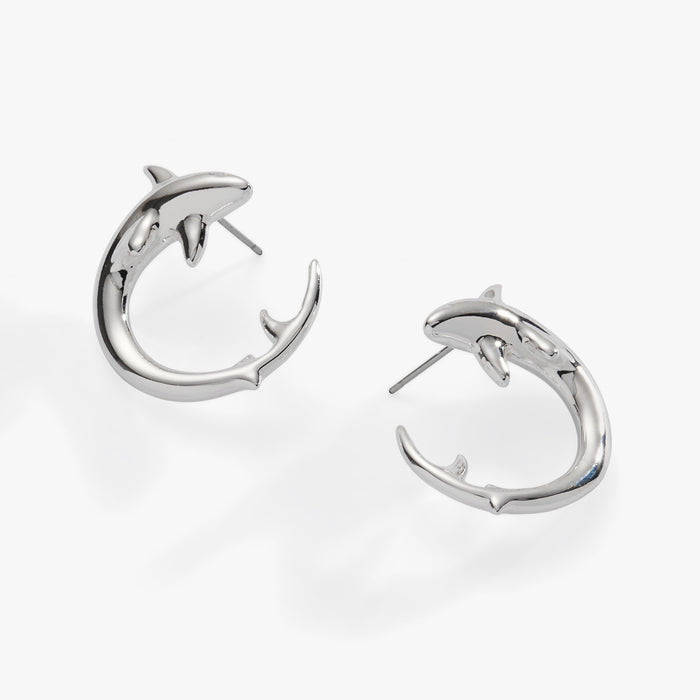Stainless Steel Silver