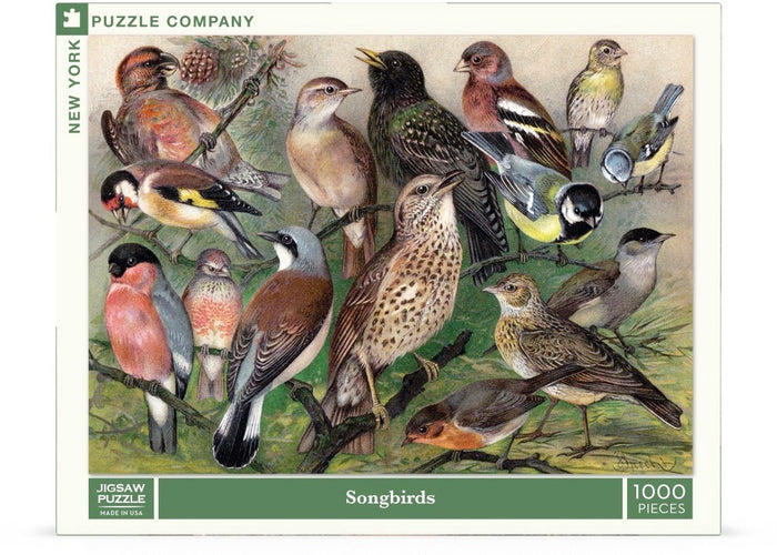 Songbirds Image 2
