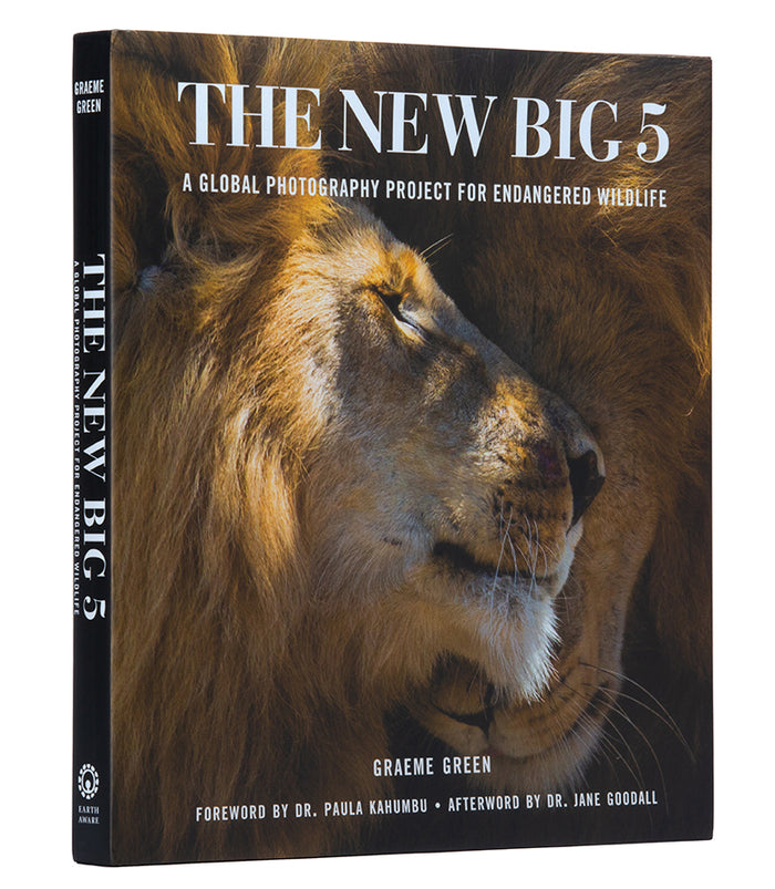 The New Big 5