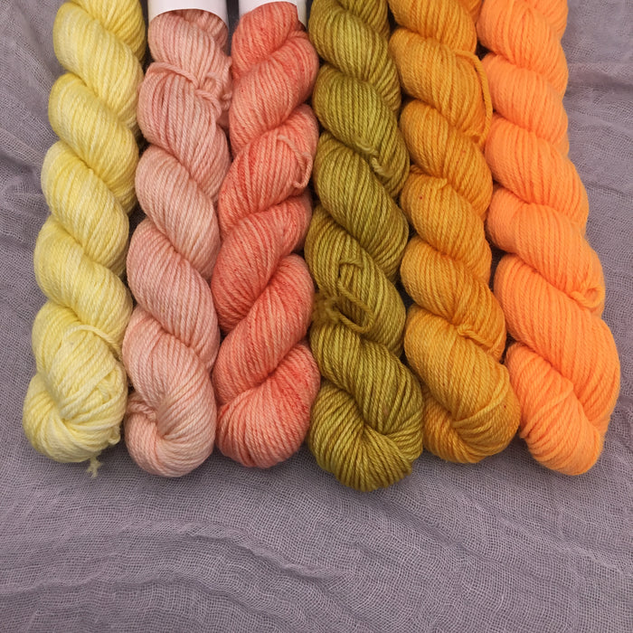 The Sunshine - Lil Lolo 6 Pack