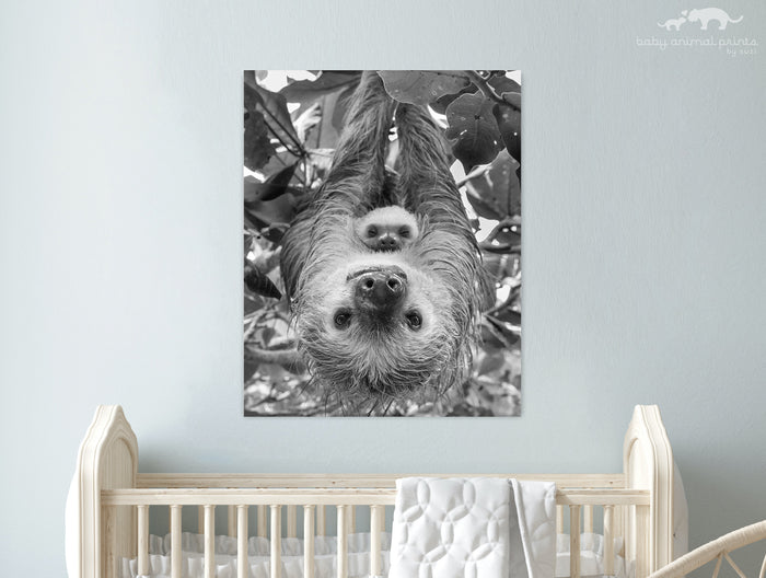 Upside Down Mom and Baby Sloth