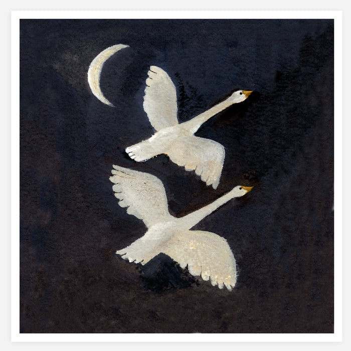 Whooper Swans Print