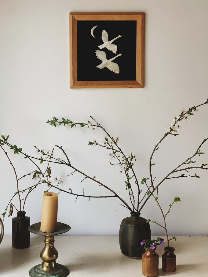 Whooper Swans Print