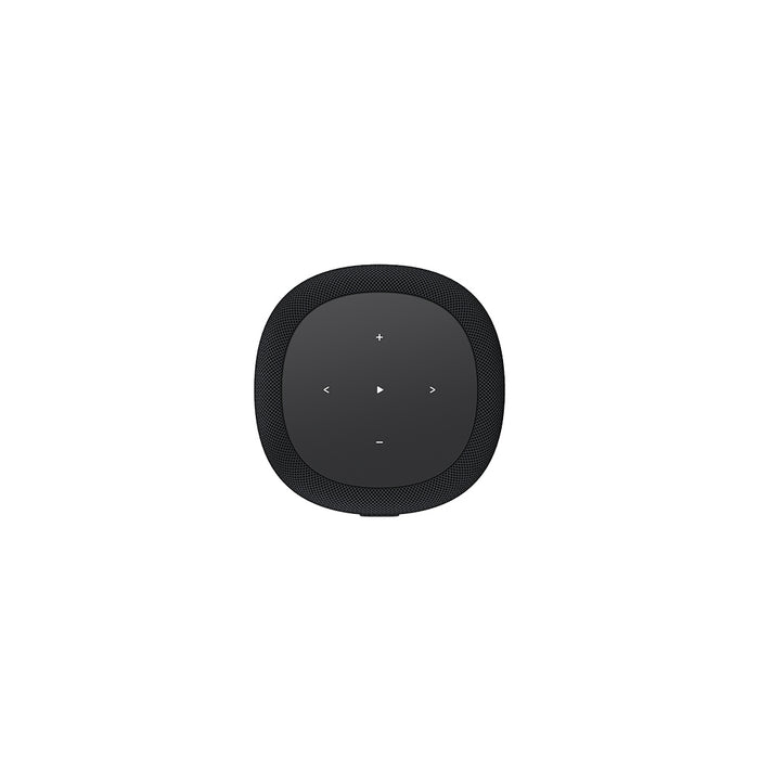 WiiM Sound Lite Wireless Multiroom Smart Speaker - Black Black