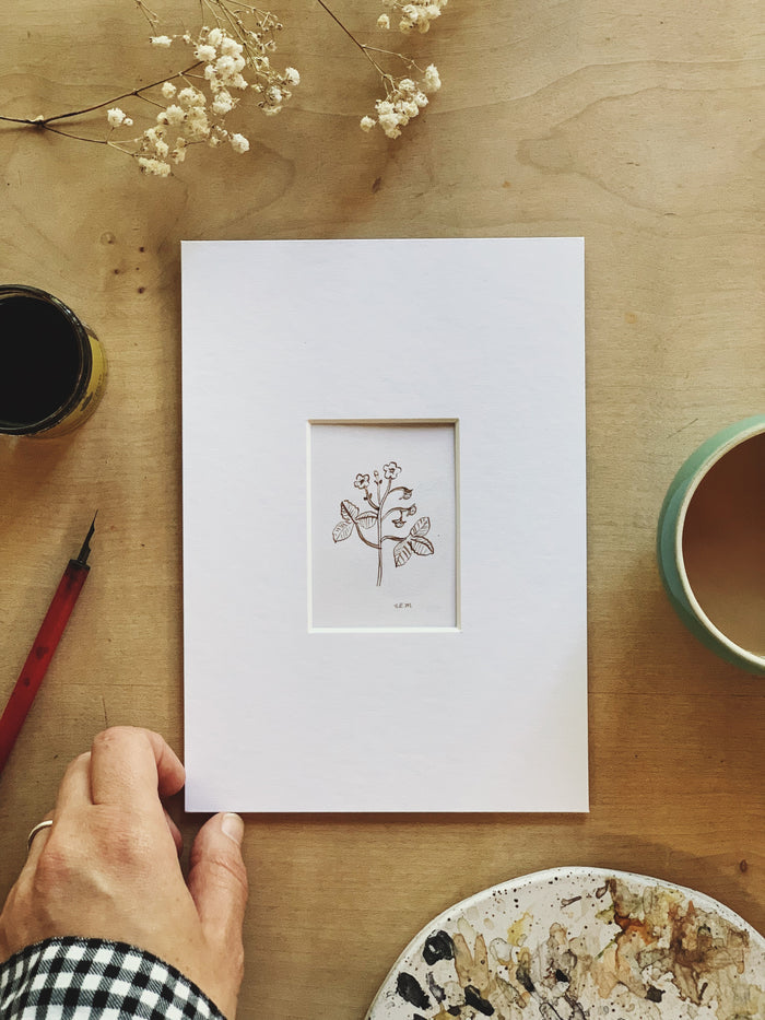 Wild Strawberries original ink drawing